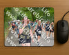 Evenement foto: Nijmeegse Vierdaagse 962