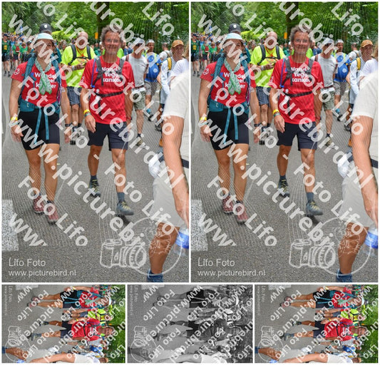 Evenement foto: Nijmeegse Vierdaagse 962