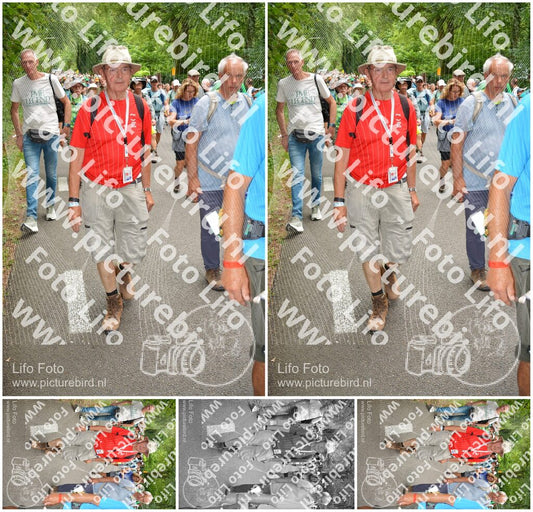 Evenement foto: Nijmeegse Vierdaagse 962