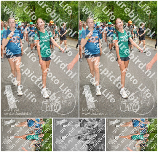 Evenement foto: Nijmeegse Vierdaagse 962