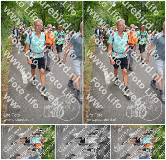 Evenement foto: Nijmeegse Vierdaagse 962