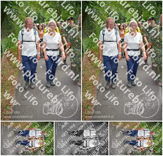 Evenement foto: Nijmeegse Vierdaagse 962