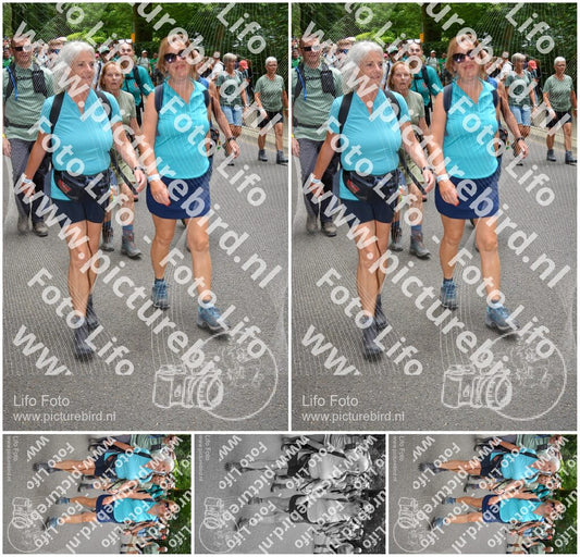 Evenement foto: Nijmeegse Vierdaagse 962