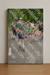 Evenement foto: Nijmeegse Vierdaagse 962