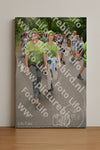 Evenement foto: Nijmeegse Vierdaagse 962