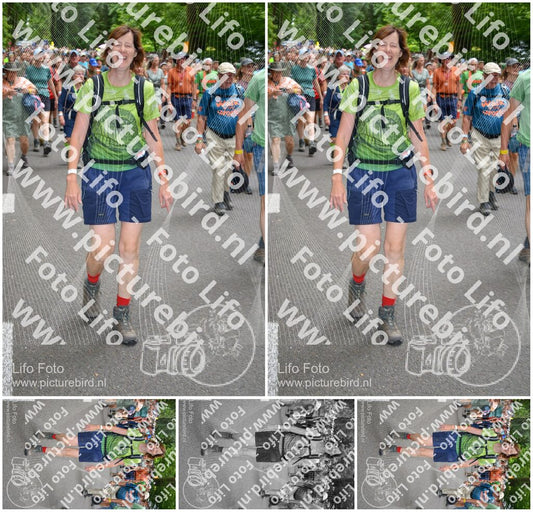 Evenement foto: Nijmeegse Vierdaagse 962