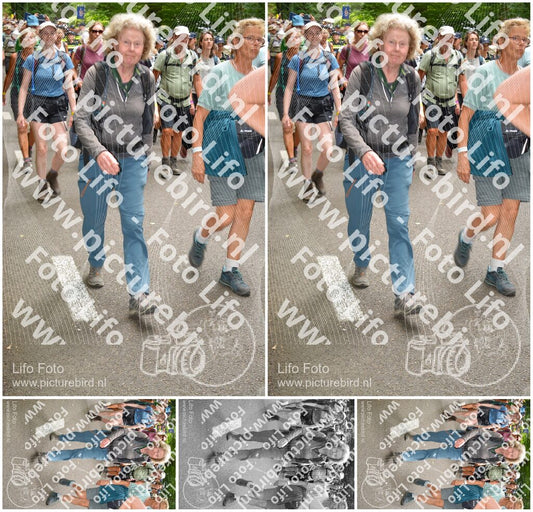 Evenement foto: Nijmeegse Vierdaagse 962
