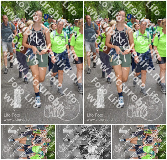 Evenement foto: Nijmeegse Vierdaagse 962