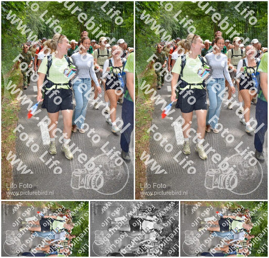 Evenement foto: Nijmeegse Vierdaagse 962