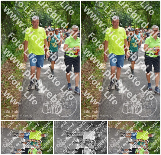 Evenement foto: Nijmeegse Vierdaagse 962