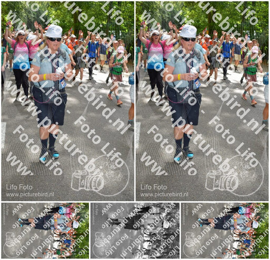 Evenement foto: Nijmeegse Vierdaagse 962