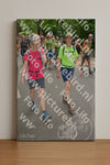Evenement foto: Nijmeegse Vierdaagse 962