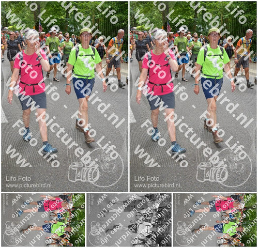 Evenement foto: Nijmeegse Vierdaagse 962