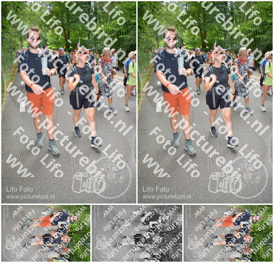 Evenement foto: Nijmeegse Vierdaagse 962