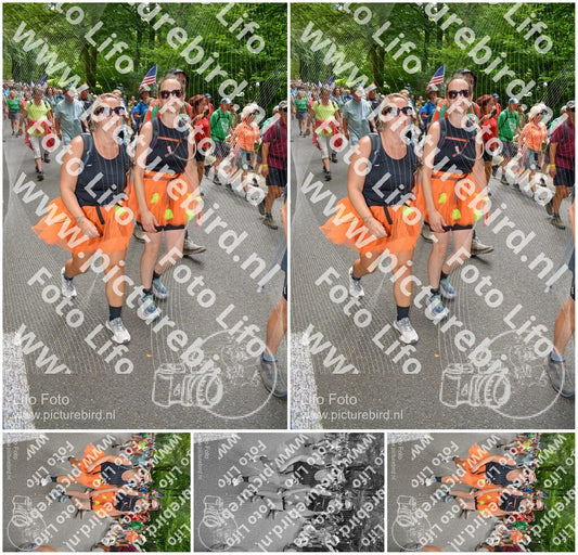 Evenement foto: Nijmeegse Vierdaagse 962