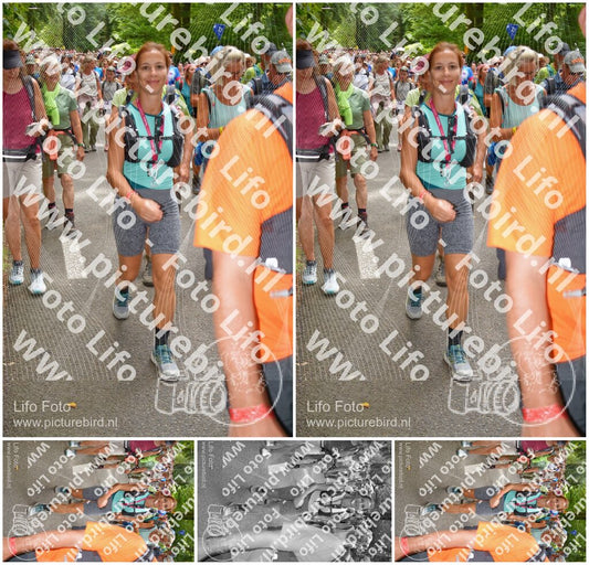 Evenement foto: Nijmeegse Vierdaagse 962