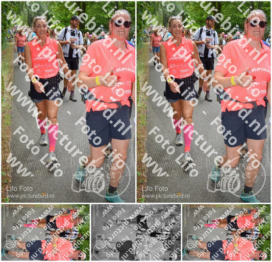 Evenement foto: Nijmeegse Vierdaagse 962