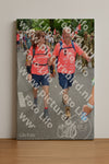 Evenement foto: Nijmeegse Vierdaagse 962