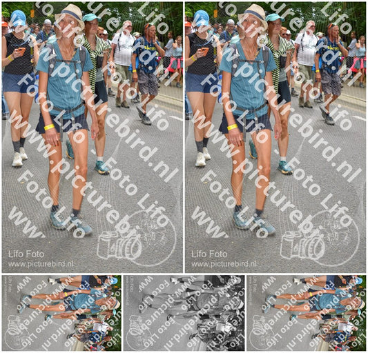 Evenement foto: Nijmeegse Vierdaagse 962