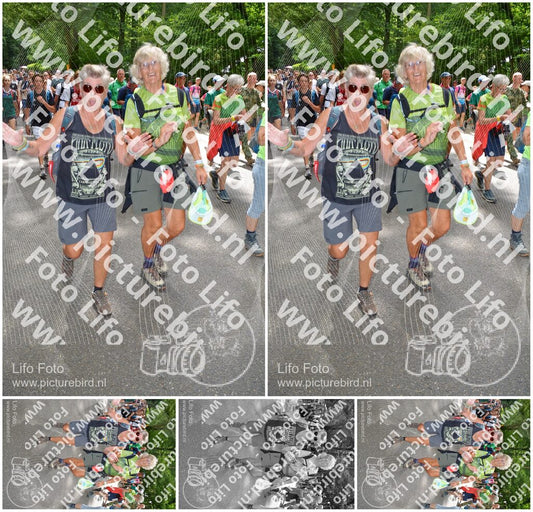 Evenement foto: Nijmeegse Vierdaagse 962