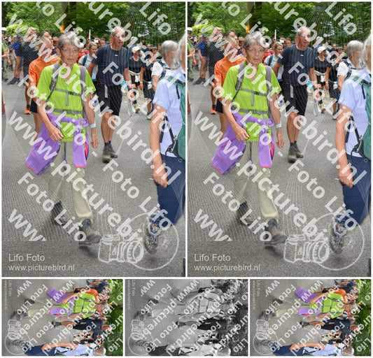 Evenement foto: Nijmeegse Vierdaagse 961