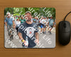 Evenement foto: Nijmeegse Vierdaagse 961