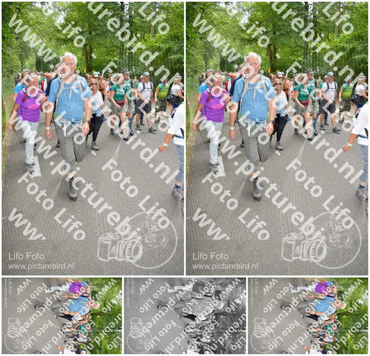 Evenement foto: Nijmeegse Vierdaagse 961