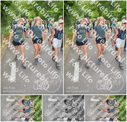Evenement foto: Nijmeegse Vierdaagse 961