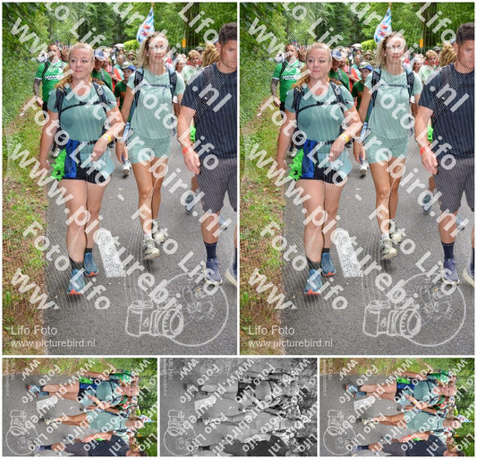 Evenement foto: Nijmeegse Vierdaagse 961