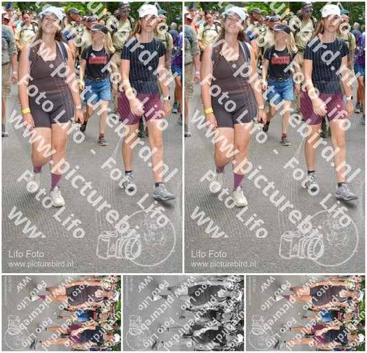 Evenement foto: Nijmeegse Vierdaagse 961