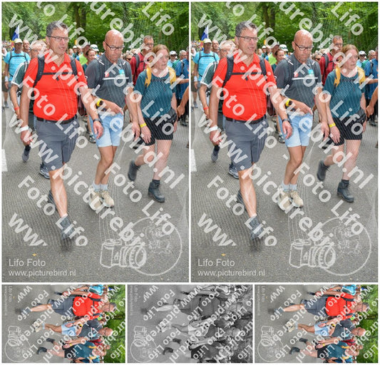 Evenement foto: Nijmeegse Vierdaagse 961