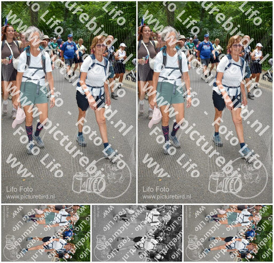 Evenement foto: Nijmeegse Vierdaagse 961