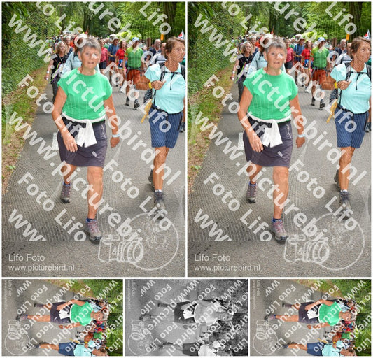 Evenement foto: Nijmeegse Vierdaagse 961