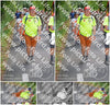 Evenement foto: Nijmeegse Vierdaagse 961