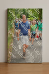 Evenement foto: Nijmeegse Vierdaagse 961
