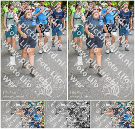 Evenement foto: Nijmeegse Vierdaagse 961