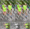 Evenement foto: Nijmeegse Vierdaagse 961