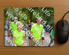 Evenement foto: Nijmeegse Vierdaagse 961