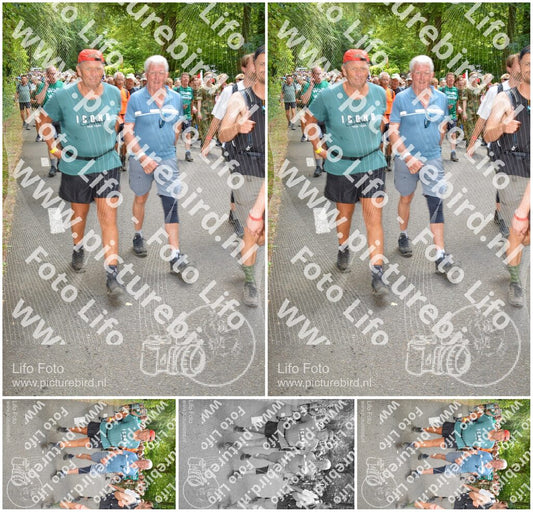 Evenement foto: Nijmeegse Vierdaagse 961