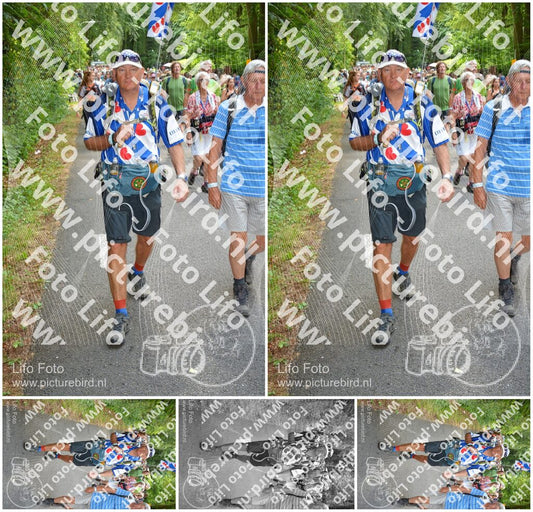 Evenement foto: Nijmeegse Vierdaagse 961