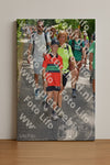 Evenement foto: Nijmeegse Vierdaagse 961