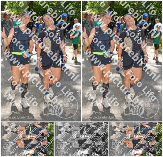 Evenement foto: Nijmeegse Vierdaagse 961