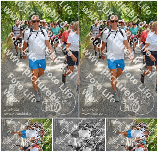 Evenement foto: Nijmeegse Vierdaagse 961