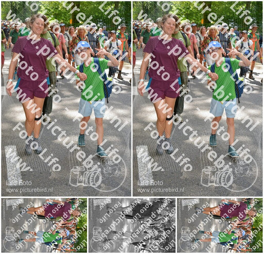 Evenement foto: Nijmeegse Vierdaagse 961