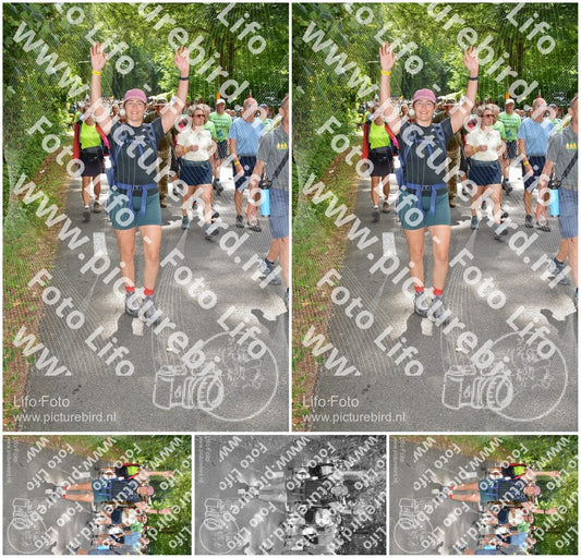 Evenement foto: Nijmeegse Vierdaagse 961