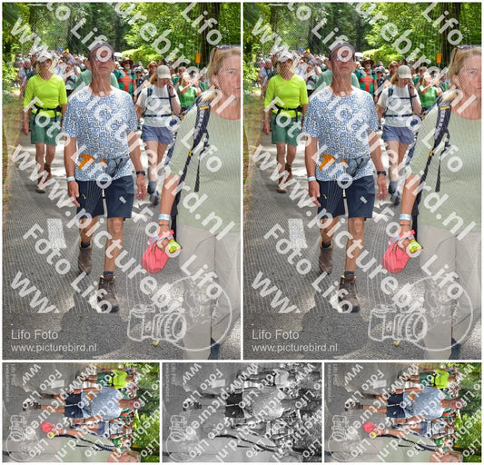Evenement foto: Nijmeegse Vierdaagse 961