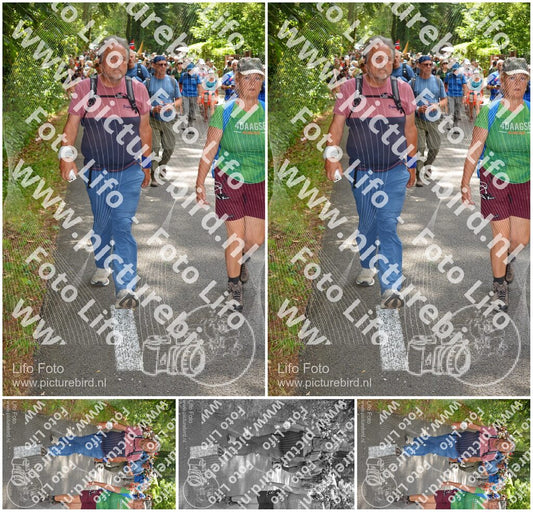 Evenement foto: Nijmeegse Vierdaagse 960