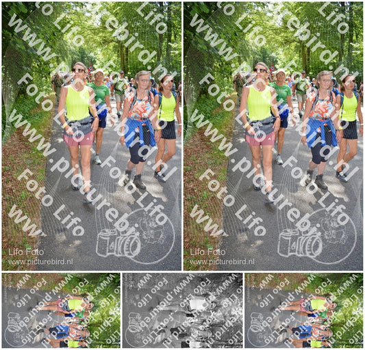 Evenement foto: Nijmeegse Vierdaagse 960
