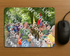 Evenement foto: Nijmeegse Vierdaagse 960