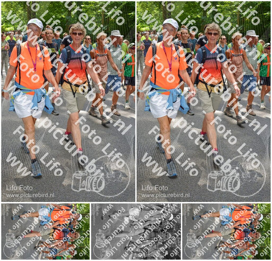 Evenement foto: Nijmeegse Vierdaagse 960